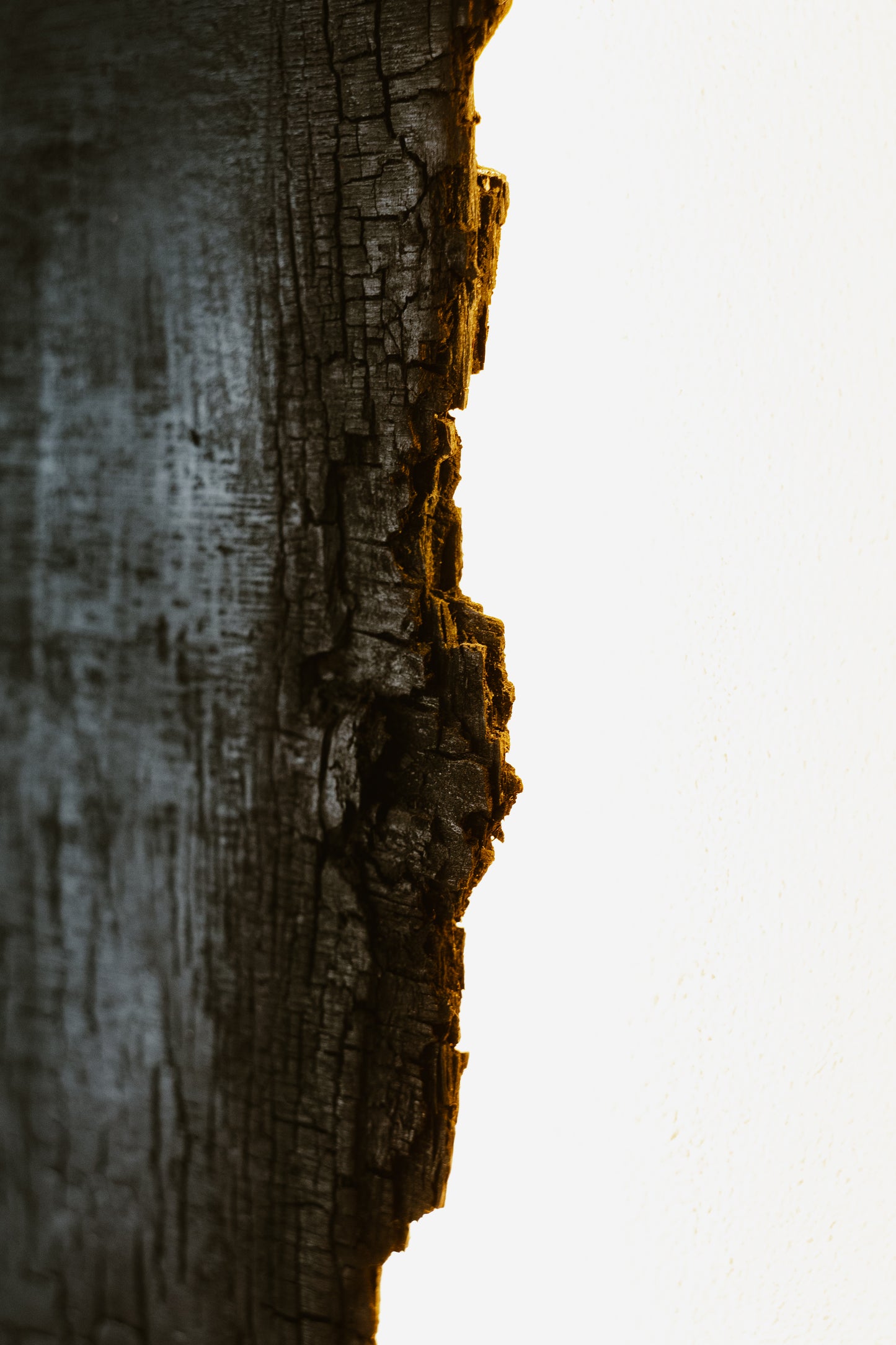 Détail du bois brûlé du tableau mural