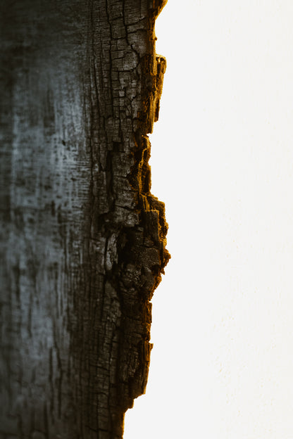 Détail du bois brûlé du tableau mural