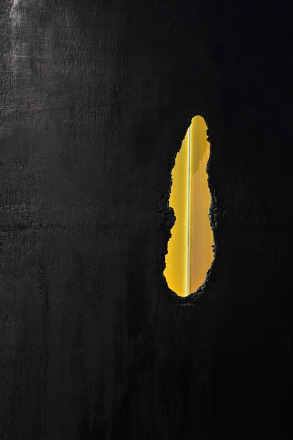 Détail de la lumière dorée à travers le bois brûlé